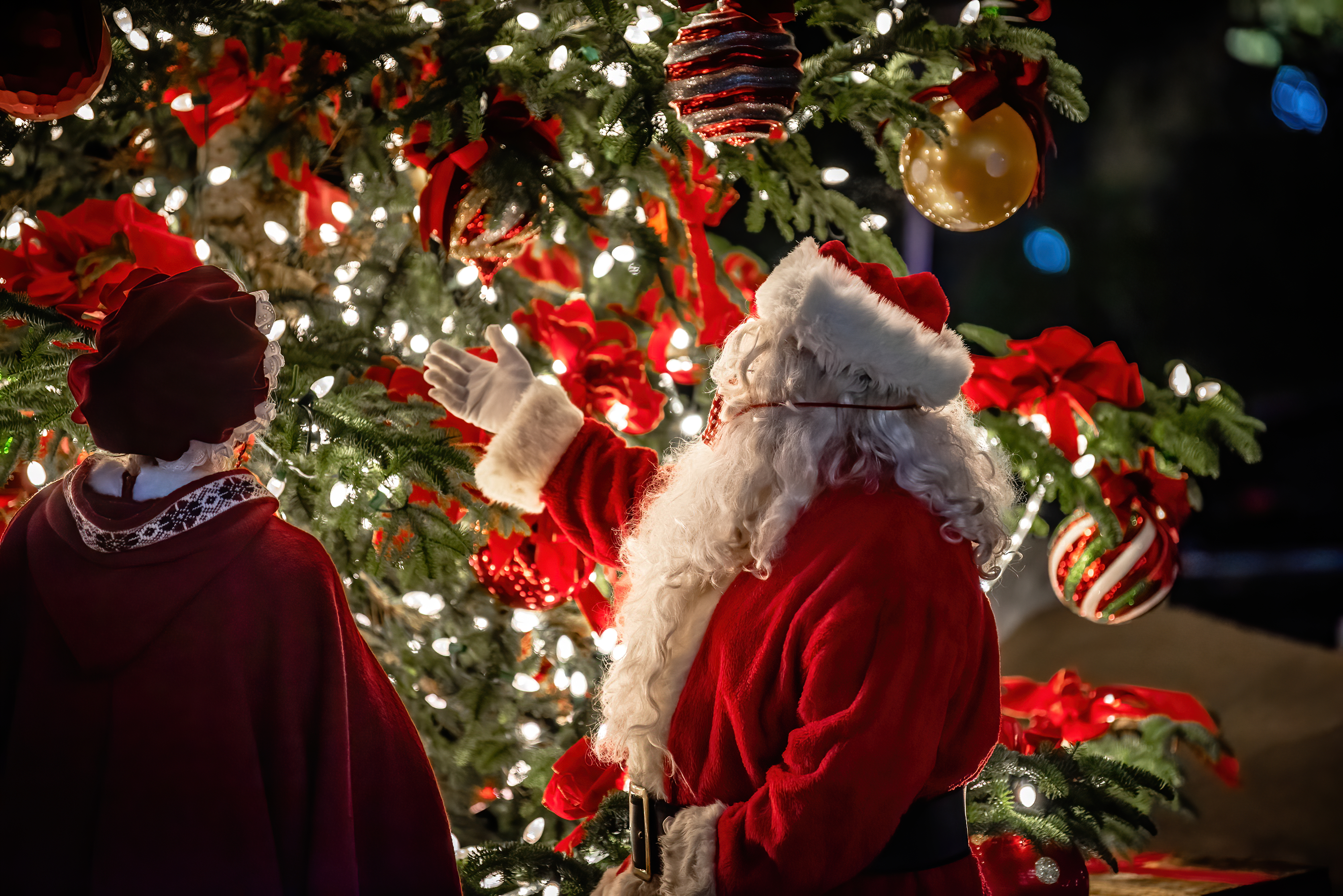 Hillsboro Holly Days 2019 Mr & Mrs Claus + Tree