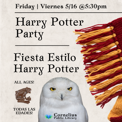 Harry Potter Party | Fiesta Estilo Harry Potter