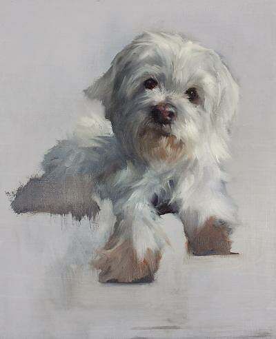 Introduction to Pet Portrait in Water-Soluble Oil – Jessi Sevy