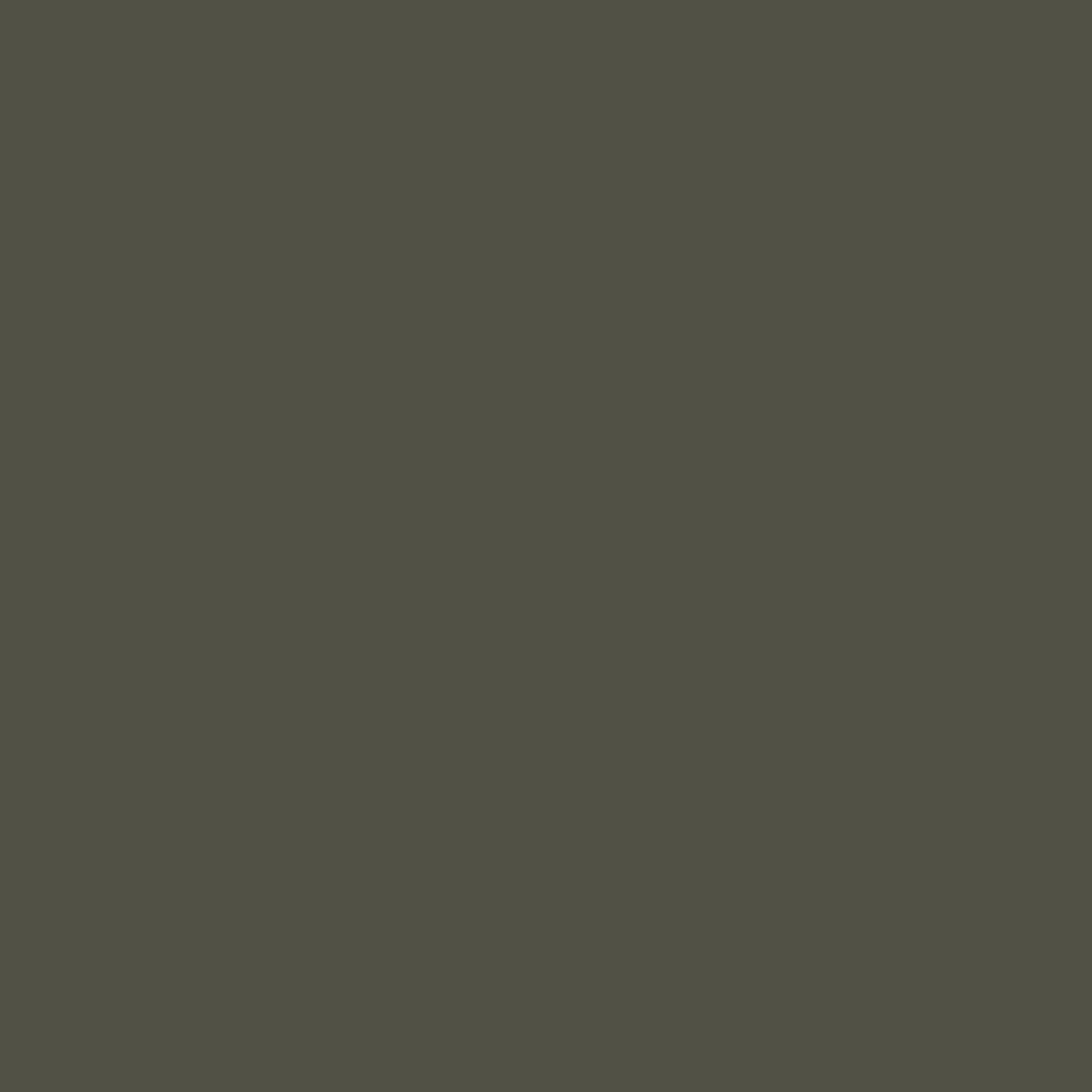 cedarkey.org logo