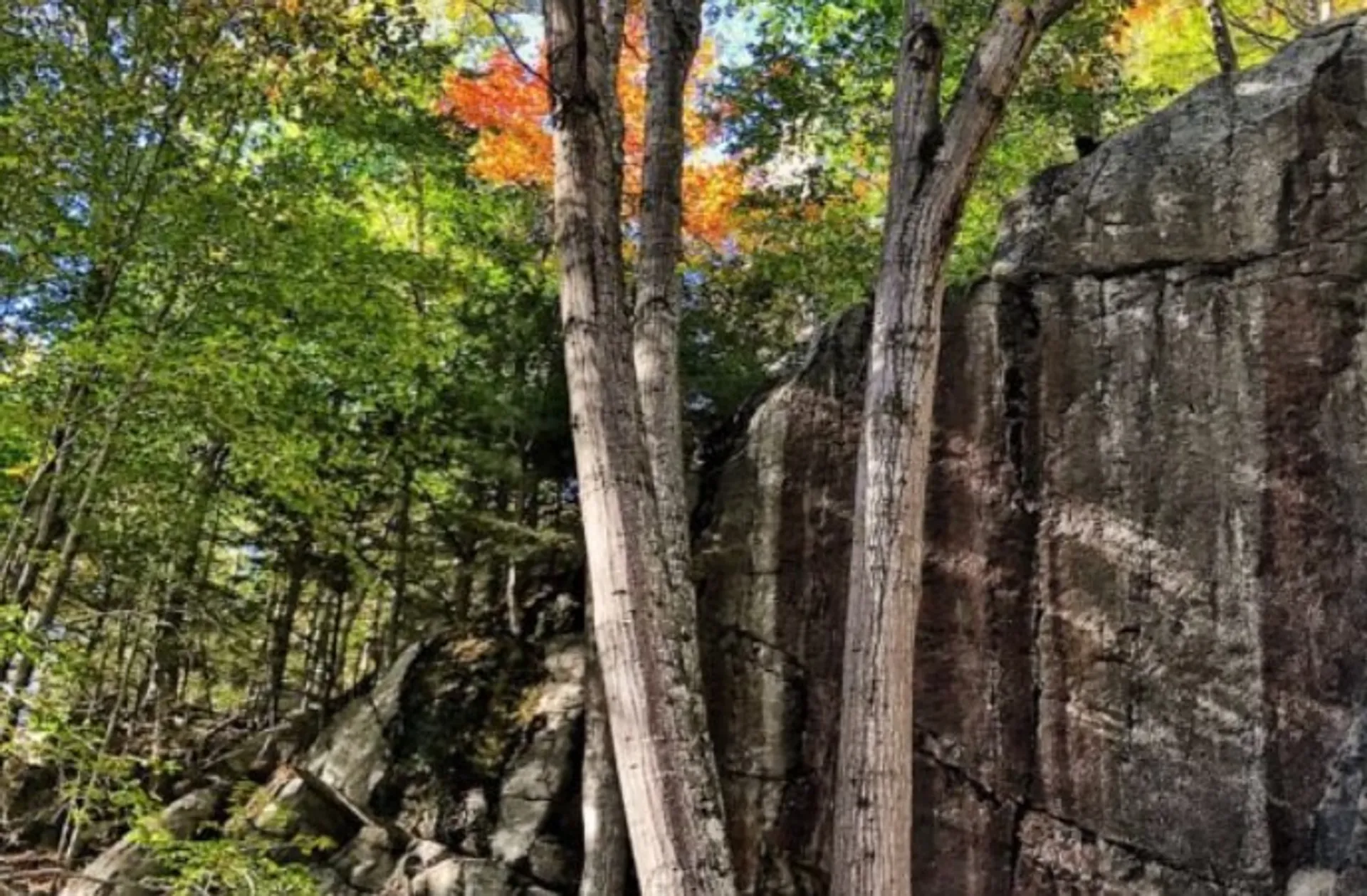 Chapel Brook in autumn