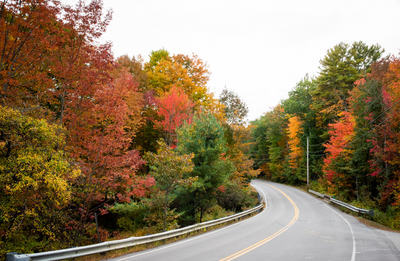 Road turning through fall colors, Photo Credit: Capshore Photography