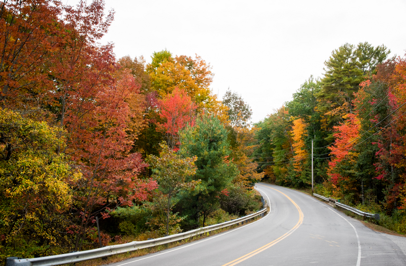 Road turning through fall colors, Photo Credit: Capshore Photography