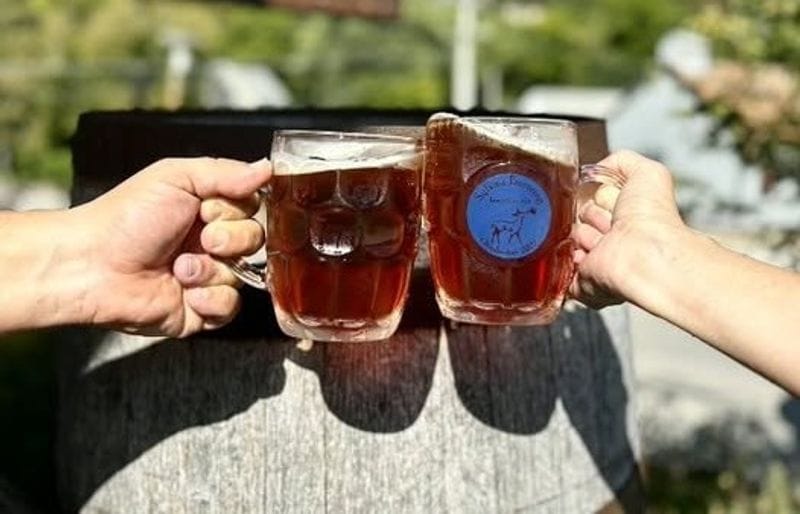 Fall Beer and Wine Fest