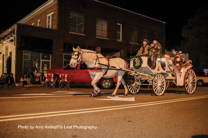 White horse and white carriage during Christmas event