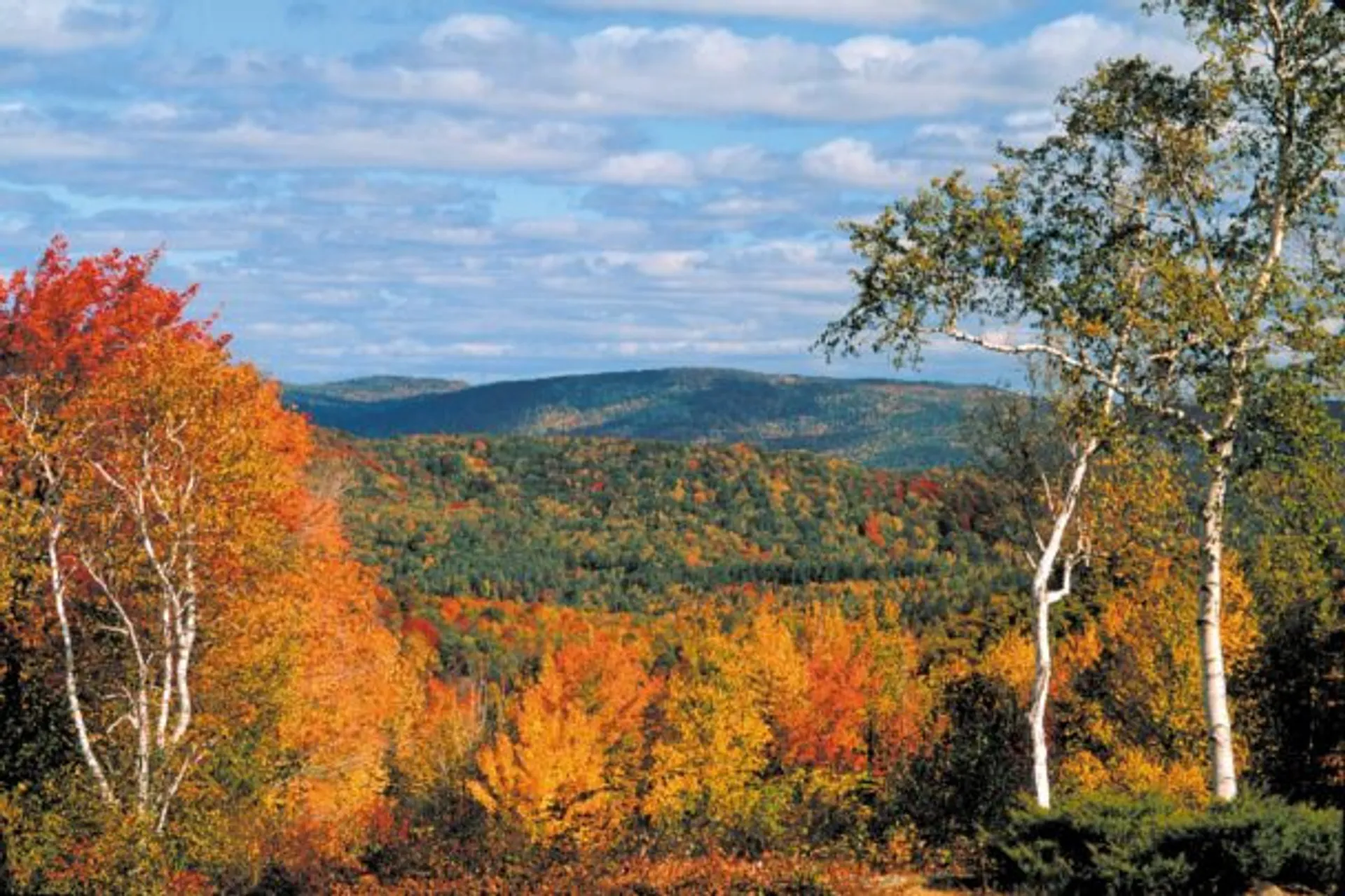 Bear Swamp in autumn