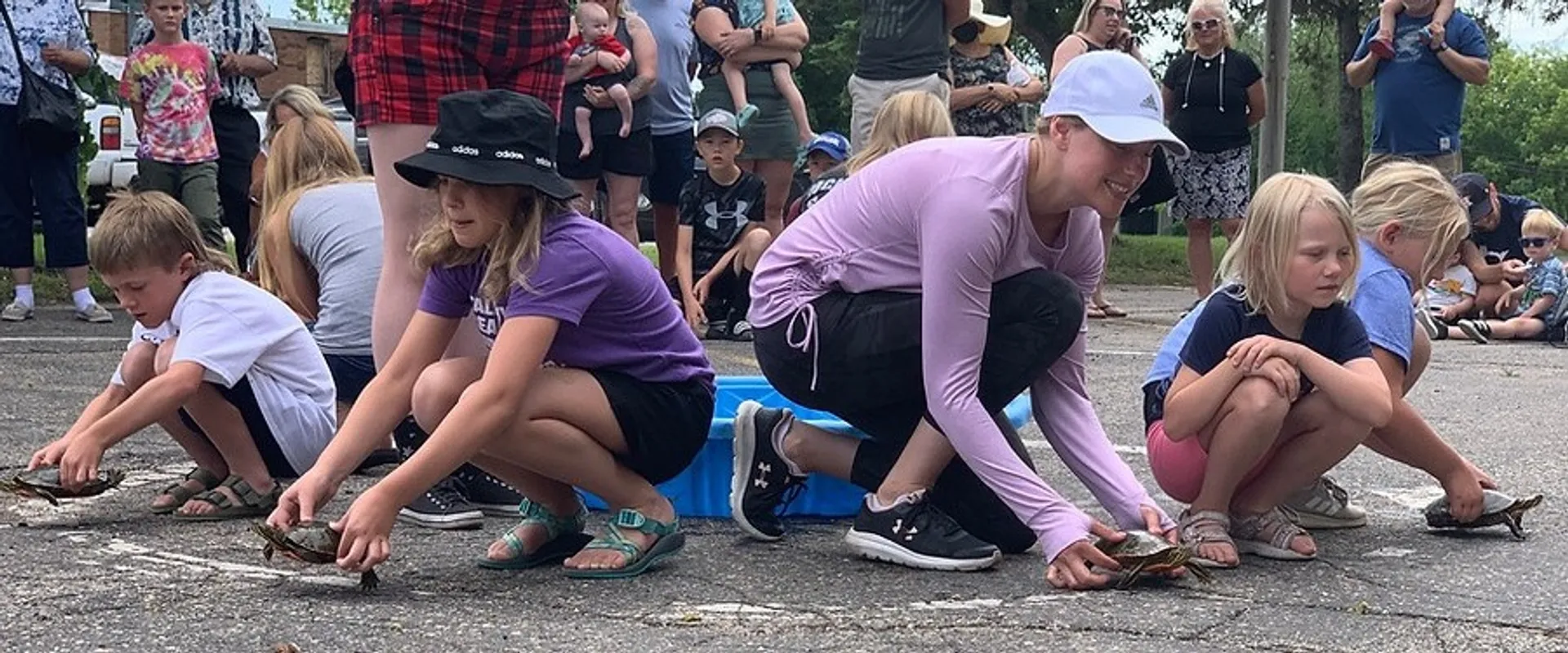 Summer Turtle Races