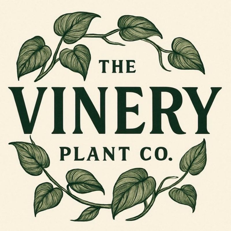 The Vinery Plant Co.