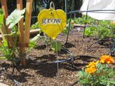 El Dorado County Master Gardeners