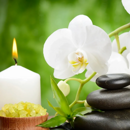 Body & Soul Therapies