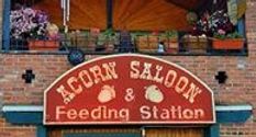 Acorn Saloon & Feeding Station