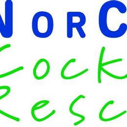 NorCal Cocker Rescue