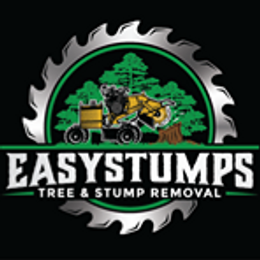 EasyStumps