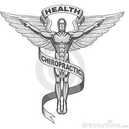 Savage Chiropractic - Dr. David C Savage