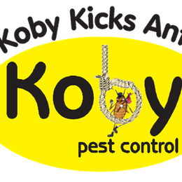 Koby Kick's Ants