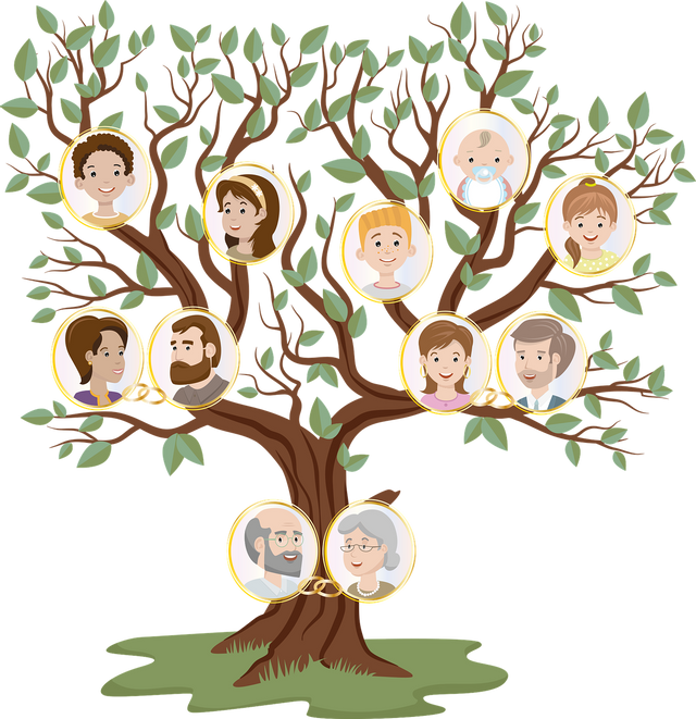 Basic/Beginning Genealogy