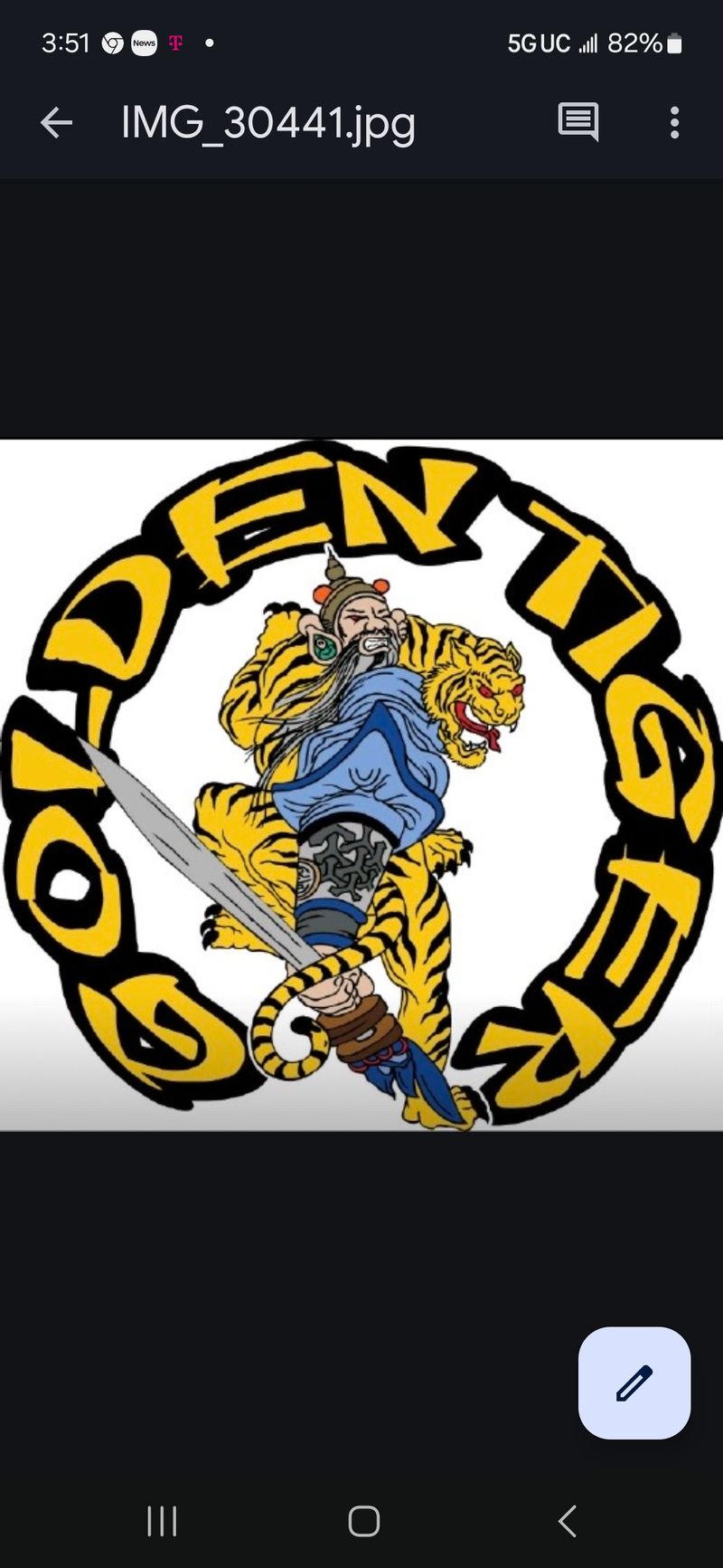 GOLDEN TIGER TAE KWON DO