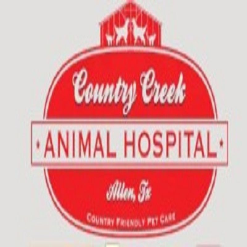 Country Creek Animal Hospital