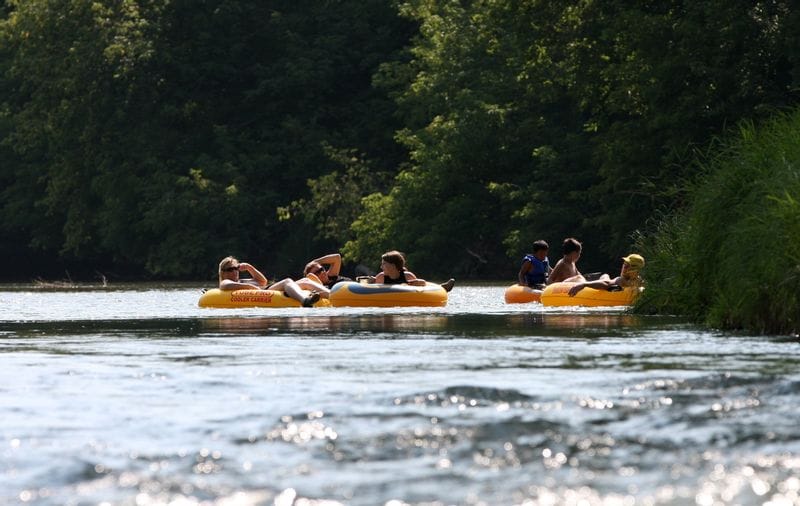 Visitors float down the Root River near Lanesboro, Minnesota, enjoying a relaxing summer tubing experience surrounded by nature.