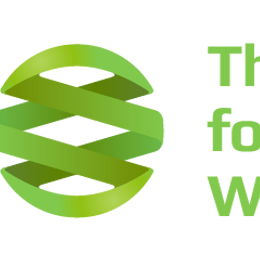 The Center for Integrative Wellness