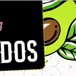 Avacados Mexican Cuisine