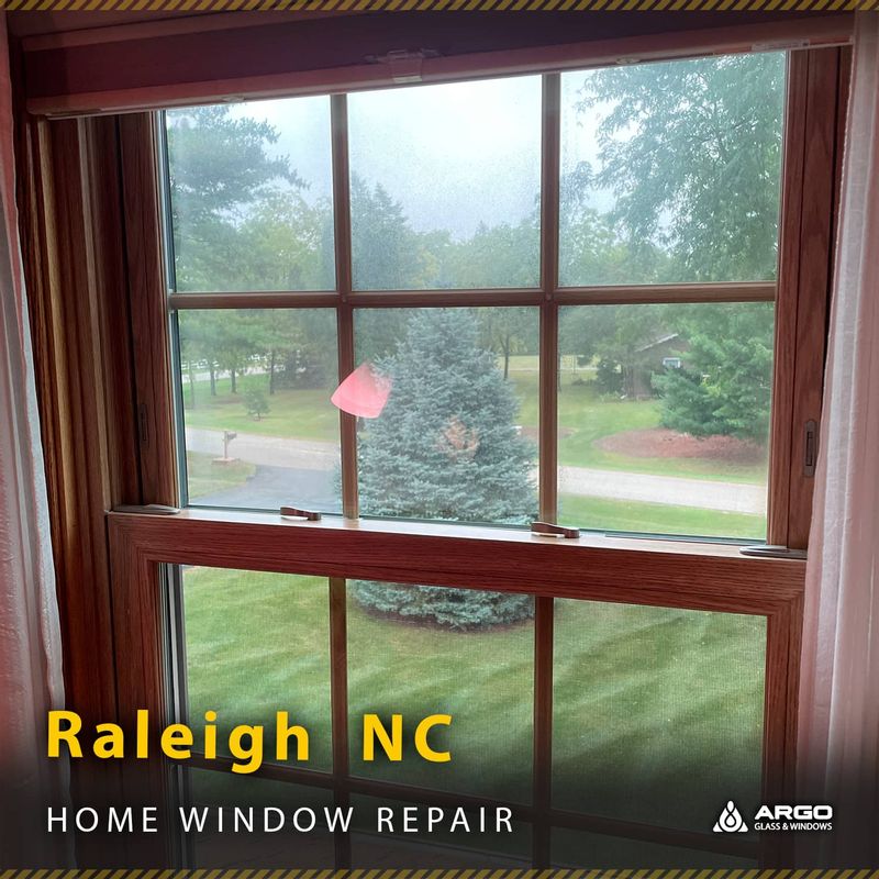 Argo Window Repair & Replacement