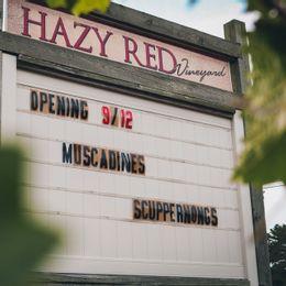 Hazy Red Vineyard
