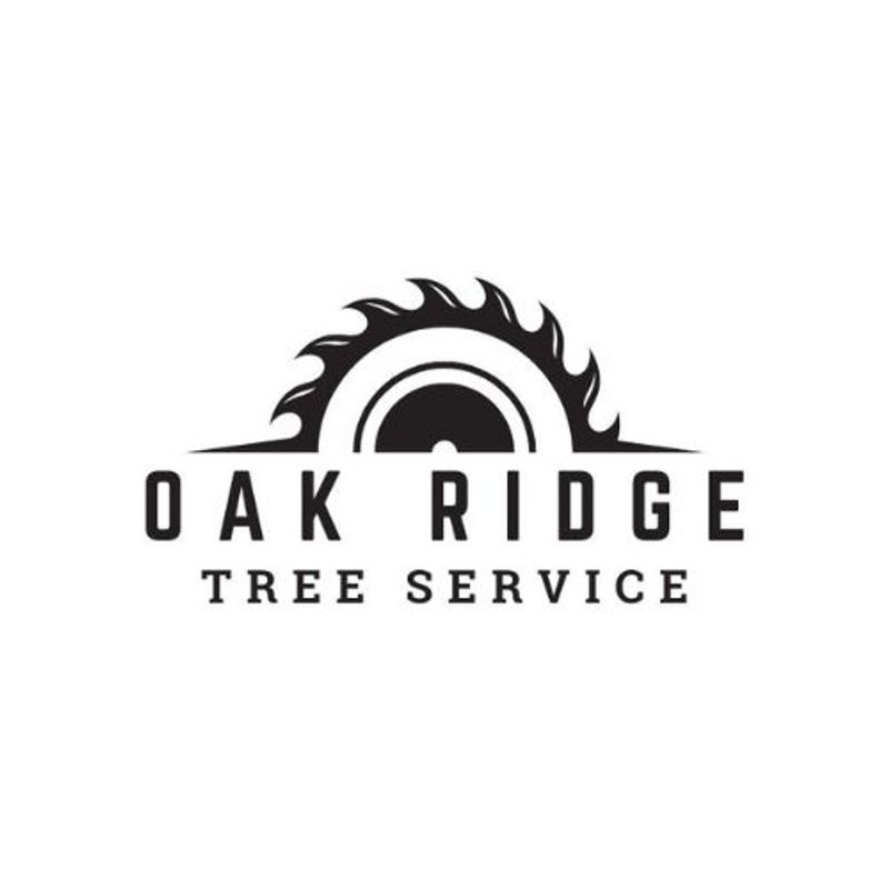 Sunny Oak Ridge Tree Service