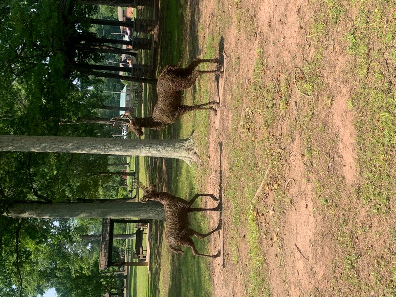 Photo of John E. Grogan Park (4)