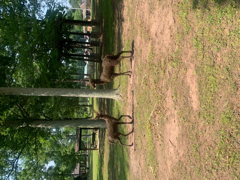Photo of John E. Grogan Park (5)