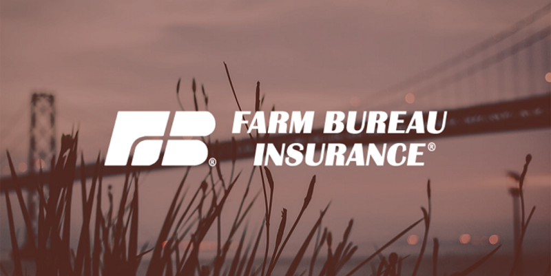 Chrissie M Feike - Farm Bureau Insurance