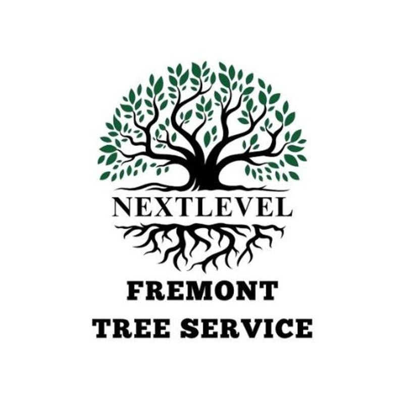NextLevel Fremont Tree Services
