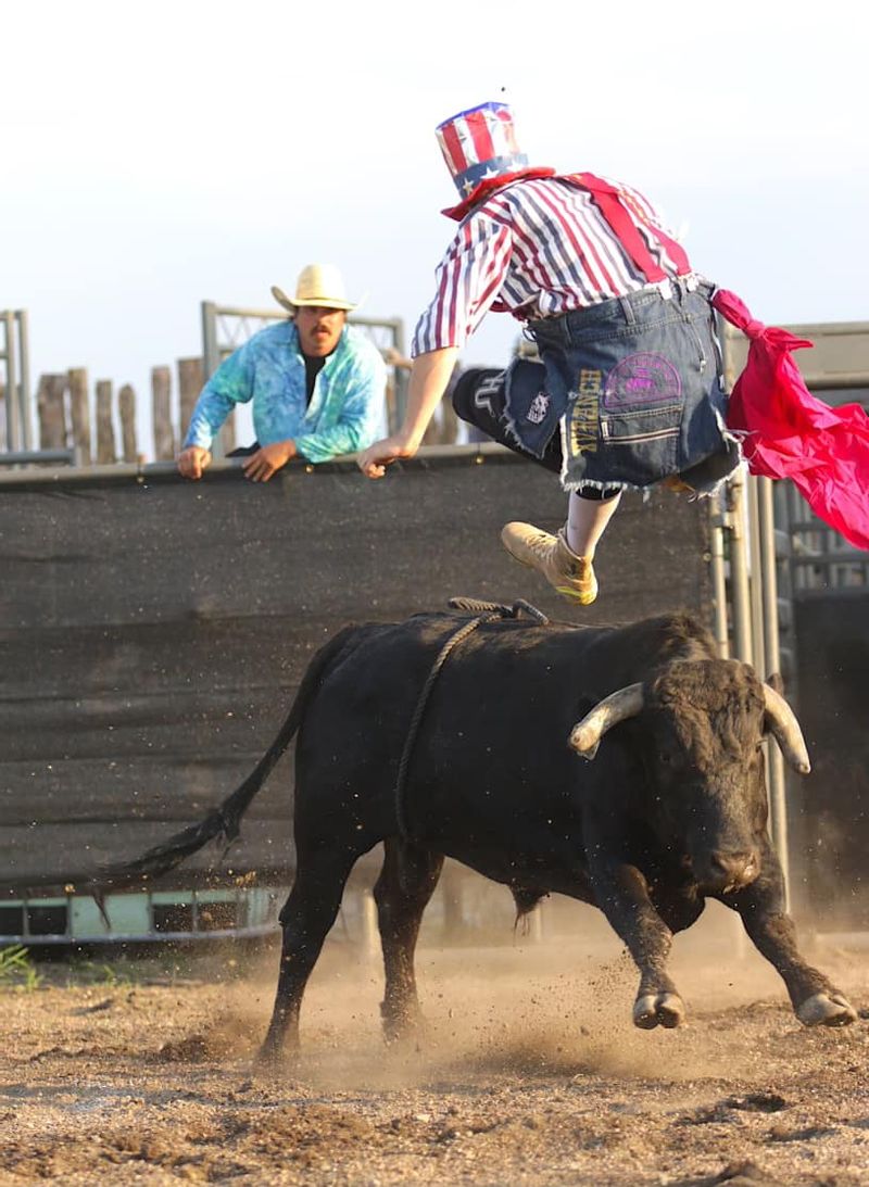 Frog Creek Fighting Bulls