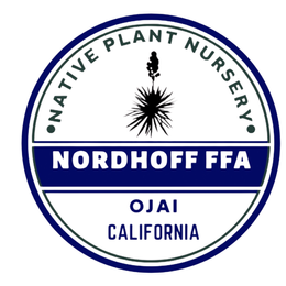 Nordhoff High School