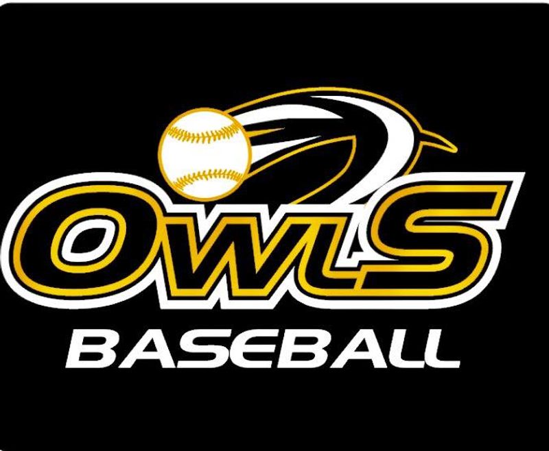 Statesville Owls Baseball Team
