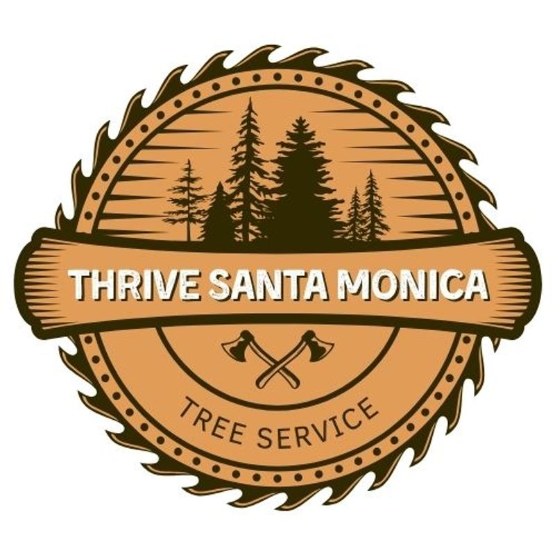 Thrive Santa Monica Tree Service