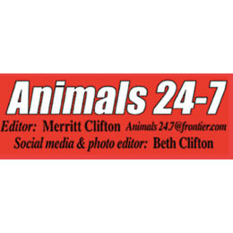 Animals 24-7