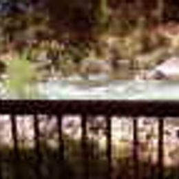 American River Resort