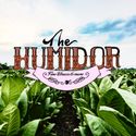 The Humidor