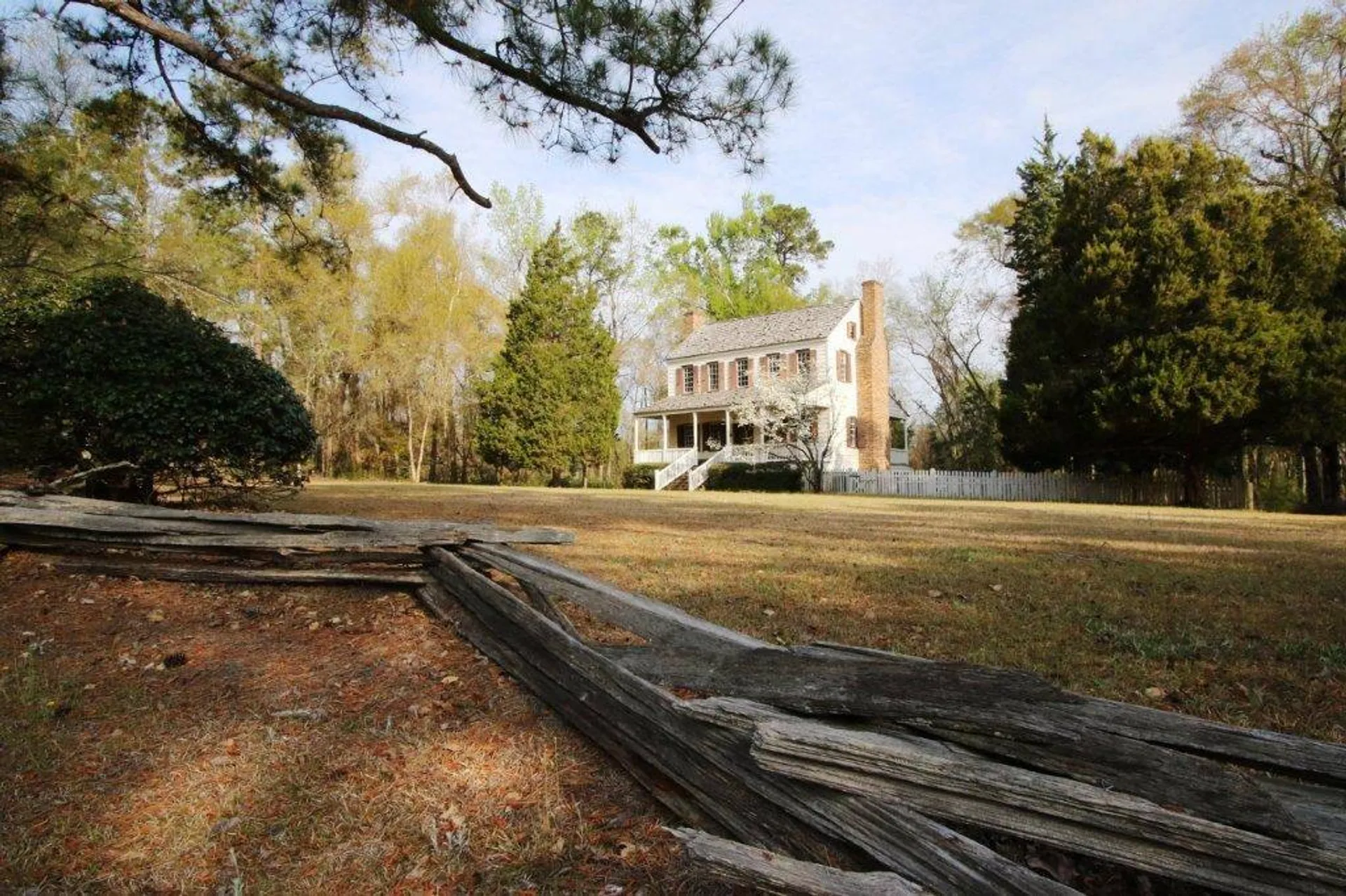 Thorntree