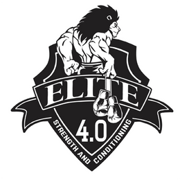 Elite Boxing Academy & Fitness Club