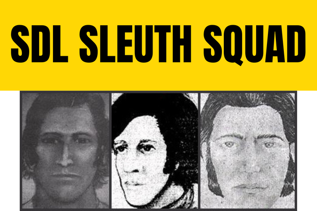 SDL Sleuth Squad
