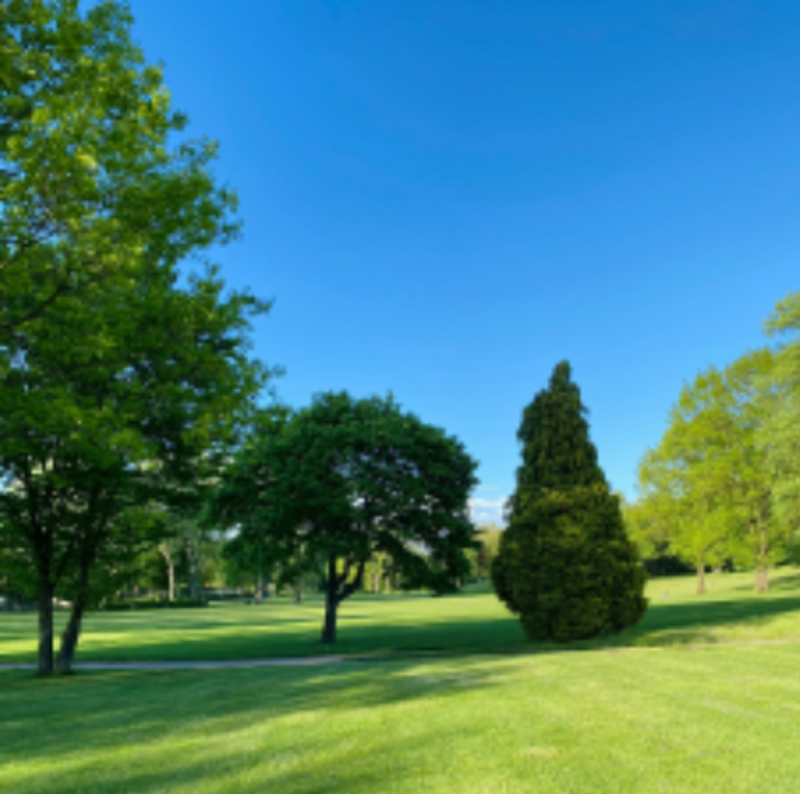 Flora Lawn & Landscaping Inc