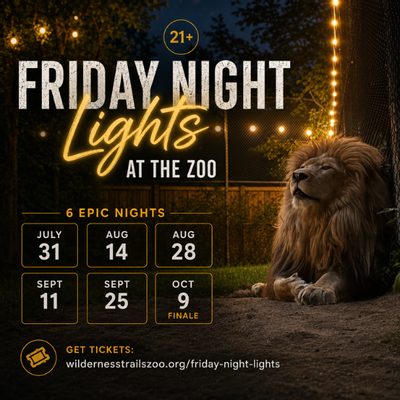 Friday Night Lights at the Zoo | July 31, 2026