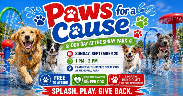 Paws for a Cause: Dog Day at the Spray Park