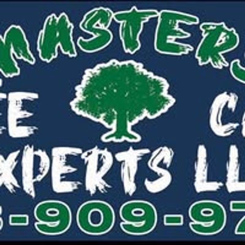 Master’s Tree Care Experts