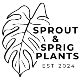 Sprout and Sprig Plants