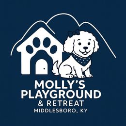 Molly's Playground