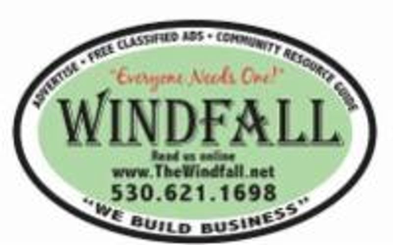 Windfall Media Group