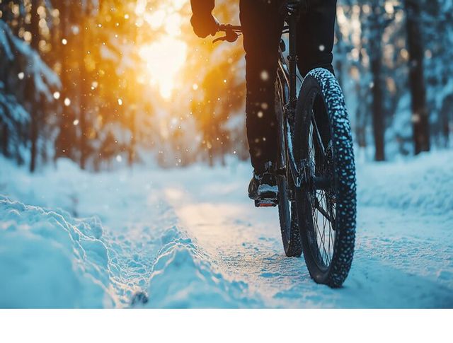 New Year's Day Ride!